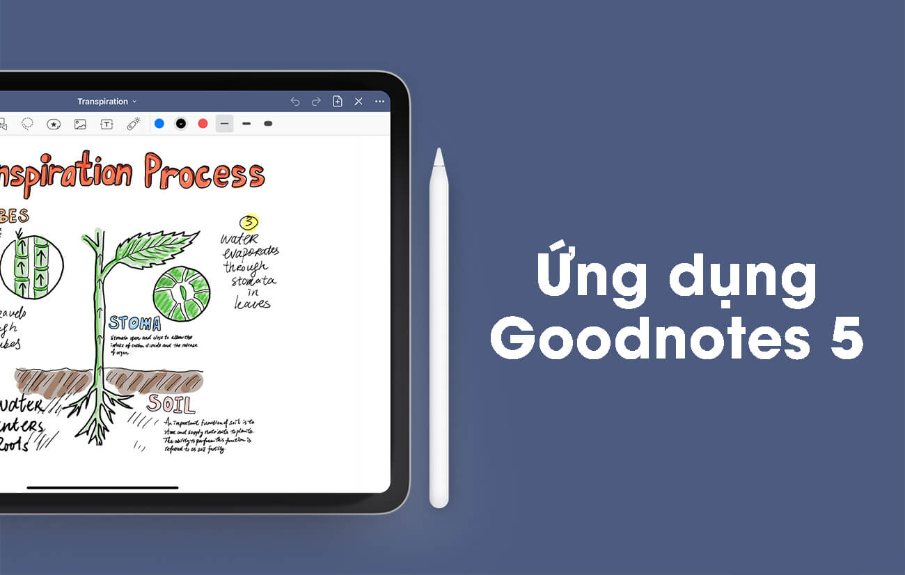 GoodNotes - Ứng dụng toàn cầu để ghi chú như một cuốn sổ tay thực sự